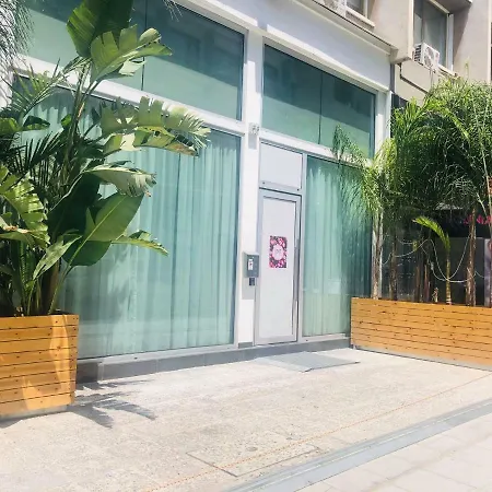 Loft Berry